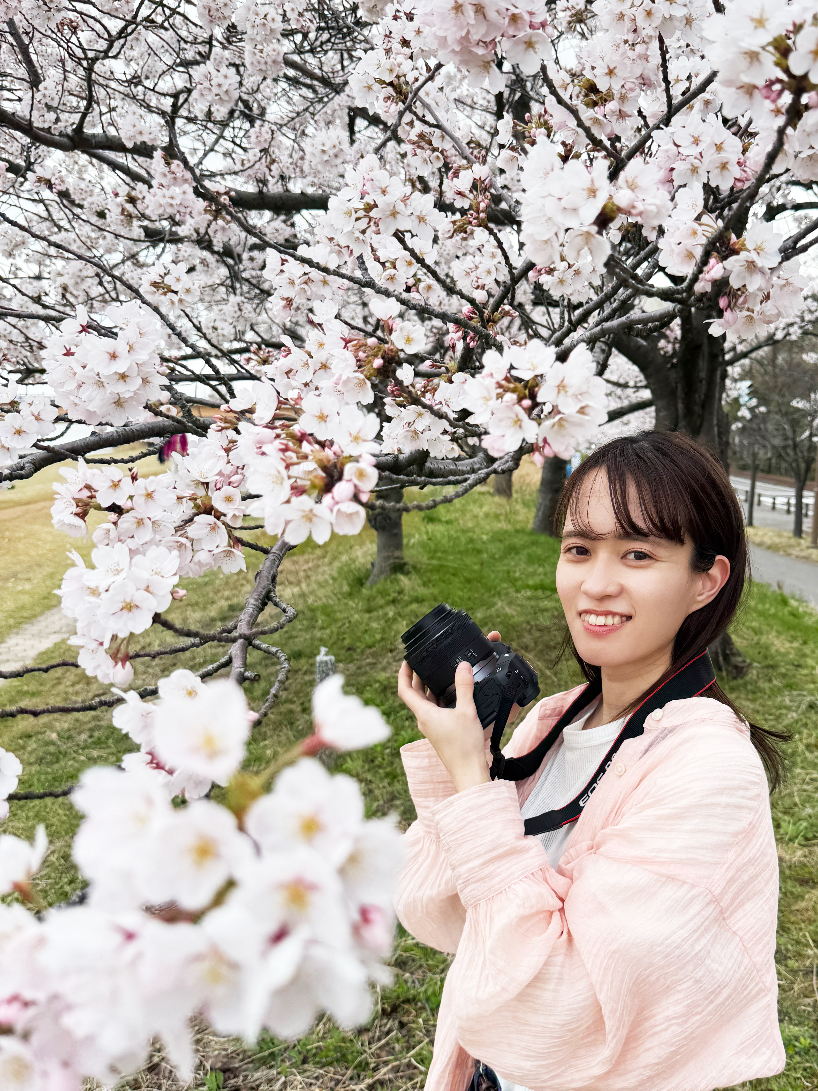 桜の下でカメラを持つプロフィール写真